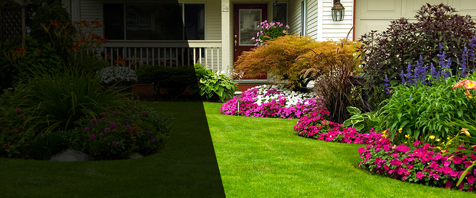 Panorama City Landscapers