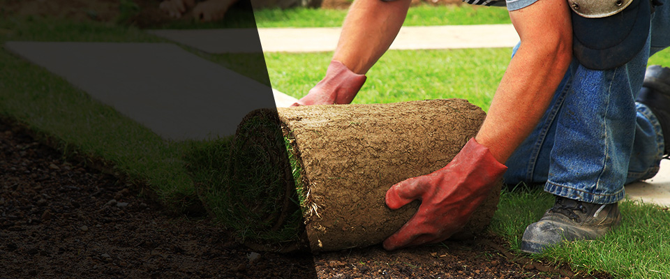 Panorama City Landscapers